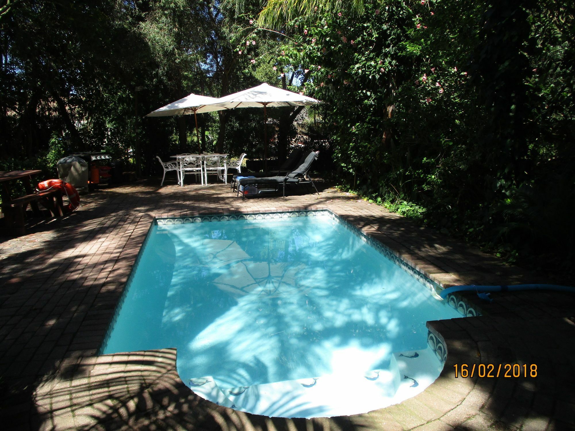 Knysna Herons Guest House Eksteriør billede